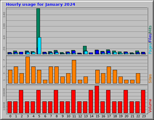 Hourly usage for January 2024