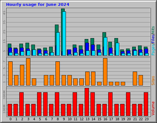 Hourly usage for June 2024