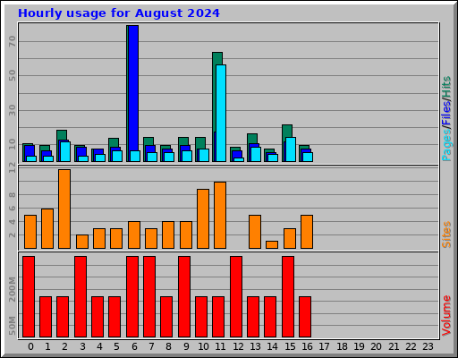 Hourly usage for August 2024
