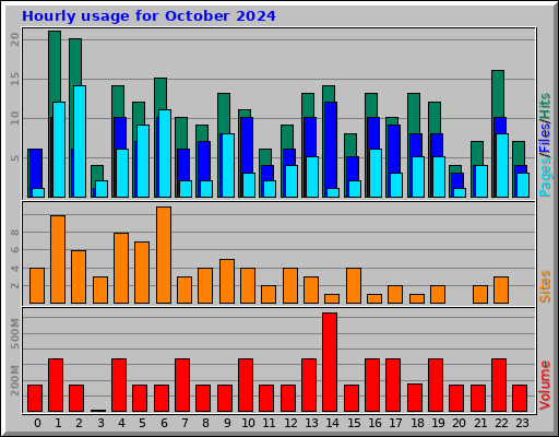 Hourly usage for October 2024