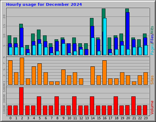 Hourly usage for December 2024