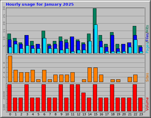 Hourly usage for January 2025