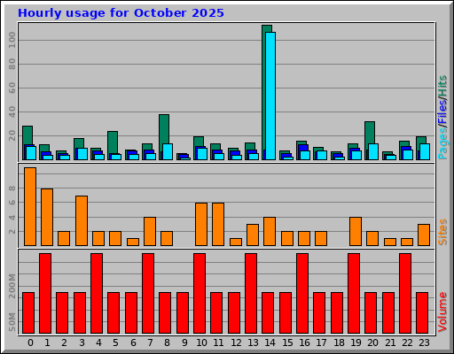 Hourly usage for October 2025