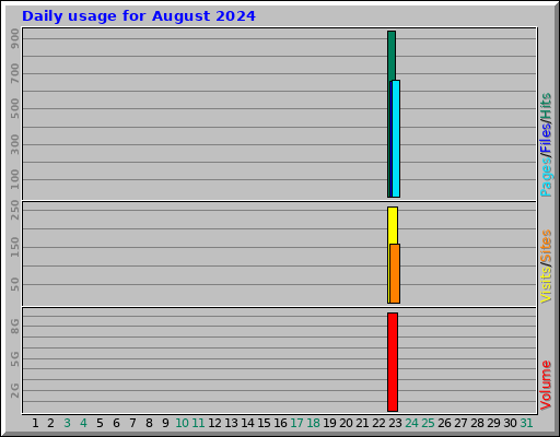 Daily usage for August 2024