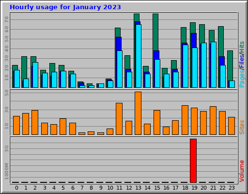 Hourly usage for January 2023