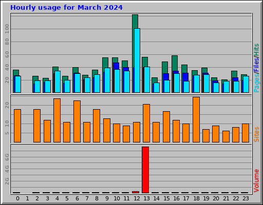 Hourly usage for March 2024 Hourly usage for March 2024