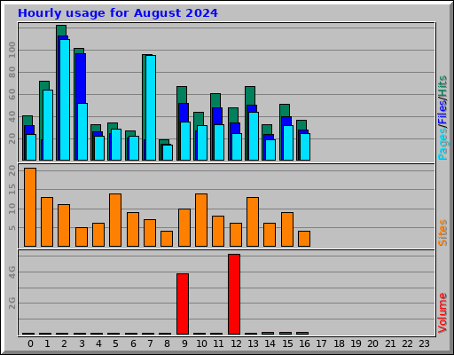 Hourly usage for August 2024