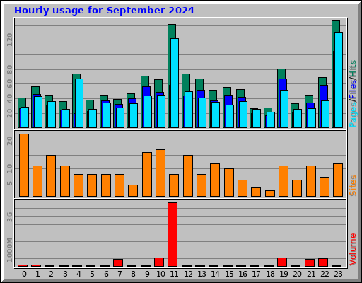 Hourly usage for September 2024