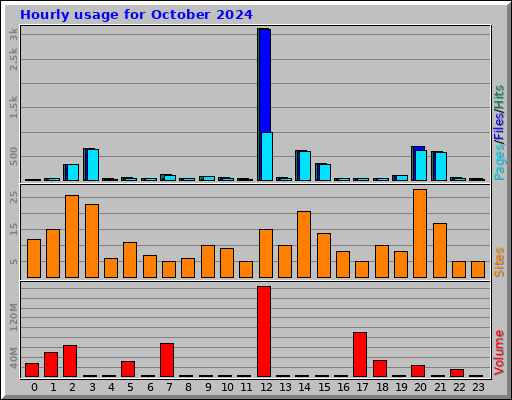 Hourly usage for October 2024