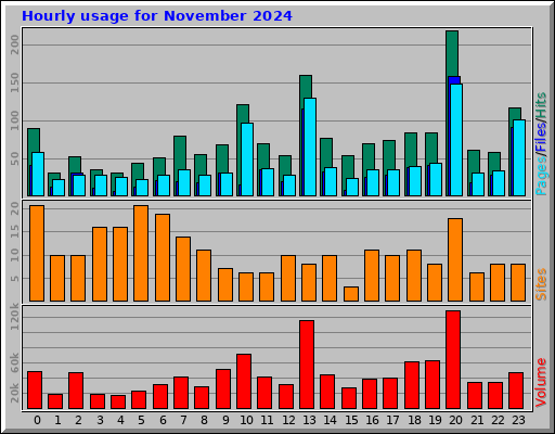 Hourly usage for November 2024