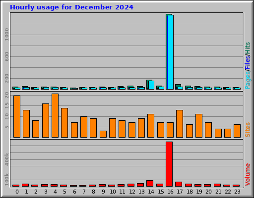 Hourly usage for December 2024