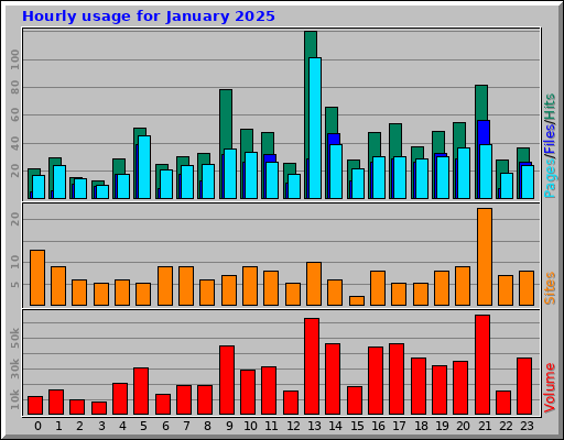 Hourly usage for January 2025 Hourly usage for January 2025
