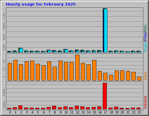 Hourly usage for February 2025