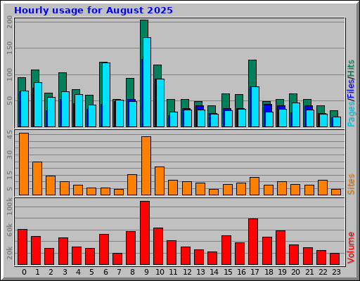 Hourly usage for August 2025