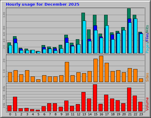 Hourly usage for December 2025