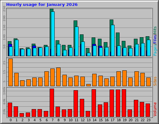 Hourly usage for January 2026 Hourly usage for January 2026