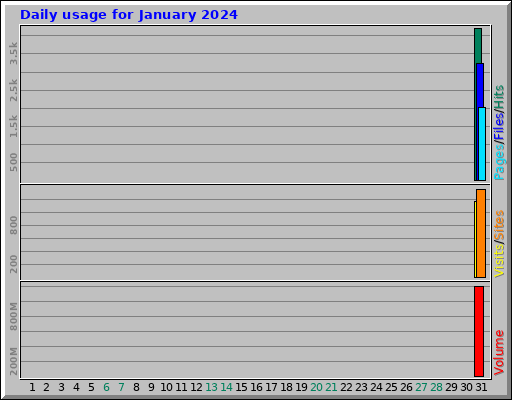 Daily usage for January 2024