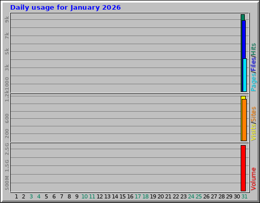 Daily usage for January 2026
