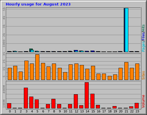 Hourly usage for August 2023