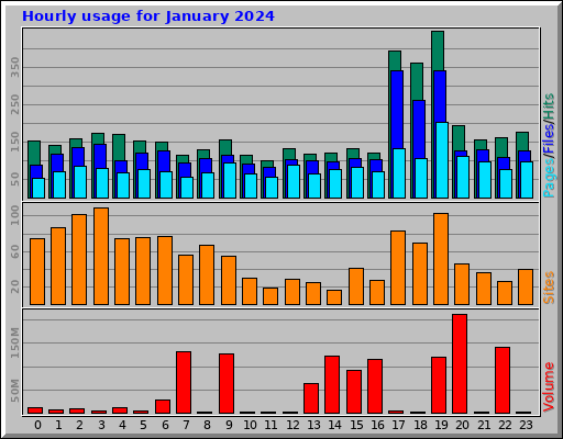 Hourly usage for January 2024