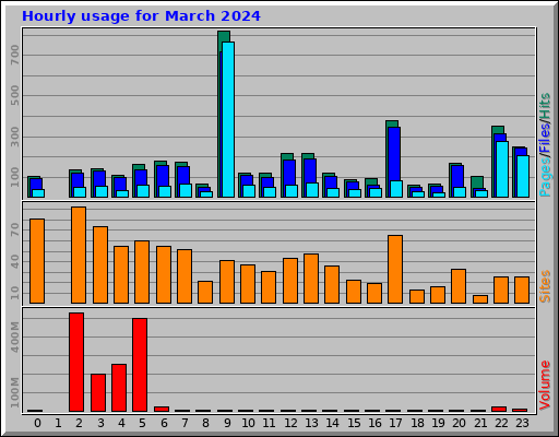 Hourly usage for March 2024
