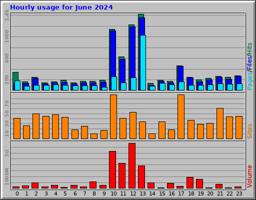 Hourly usage for June 2024