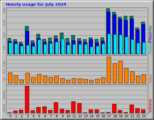 Hourly usage for July 2024