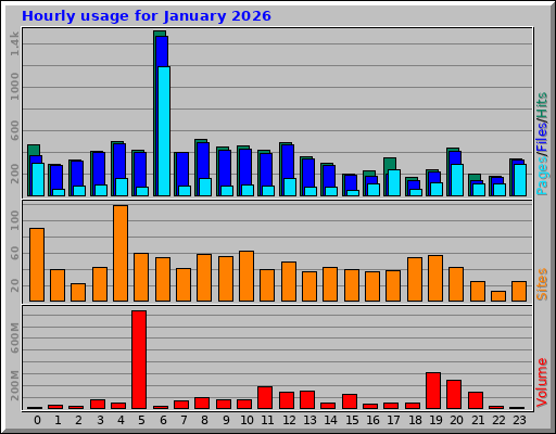 Hourly usage for January 2026