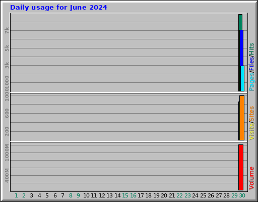 Daily usage for June 2024