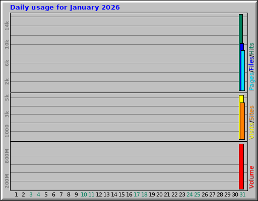 Daily usage for January 2026