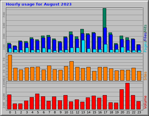 Hourly usage for August 2023