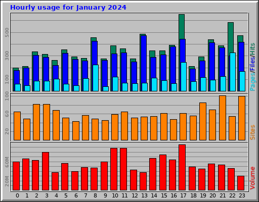 Hourly usage for January 2024