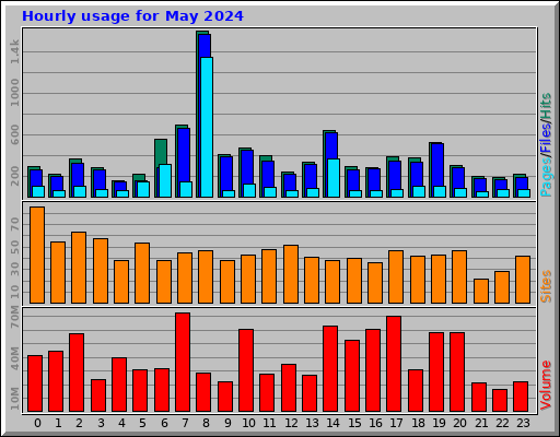 Hourly usage for May 2024