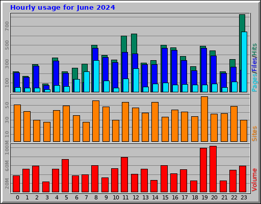 Hourly usage for June 2024