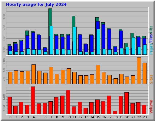Hourly usage for July 2024