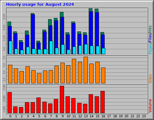 Hourly usage for August 2024