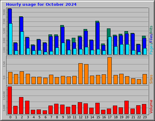 Hourly usage for October 2024