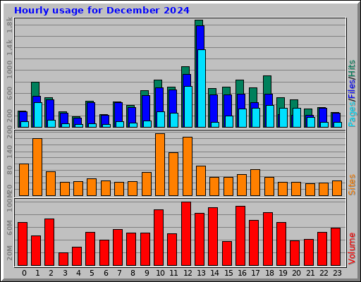 Hourly usage for December 2024