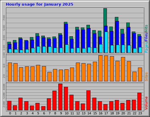 Hourly usage for January 2025