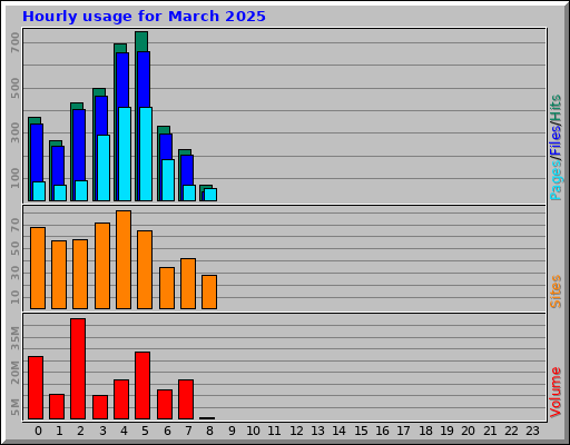 Hourly usage for March 2025