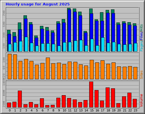 Hourly usage for August 2025