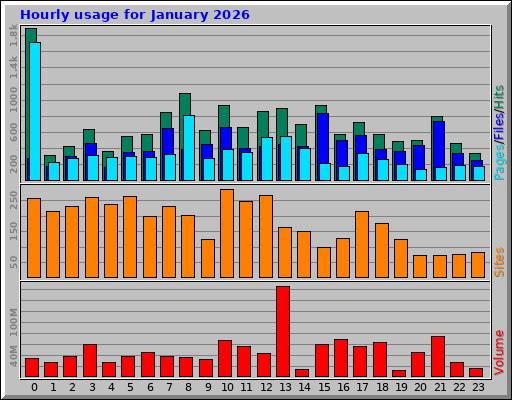 Hourly usage for January 2026